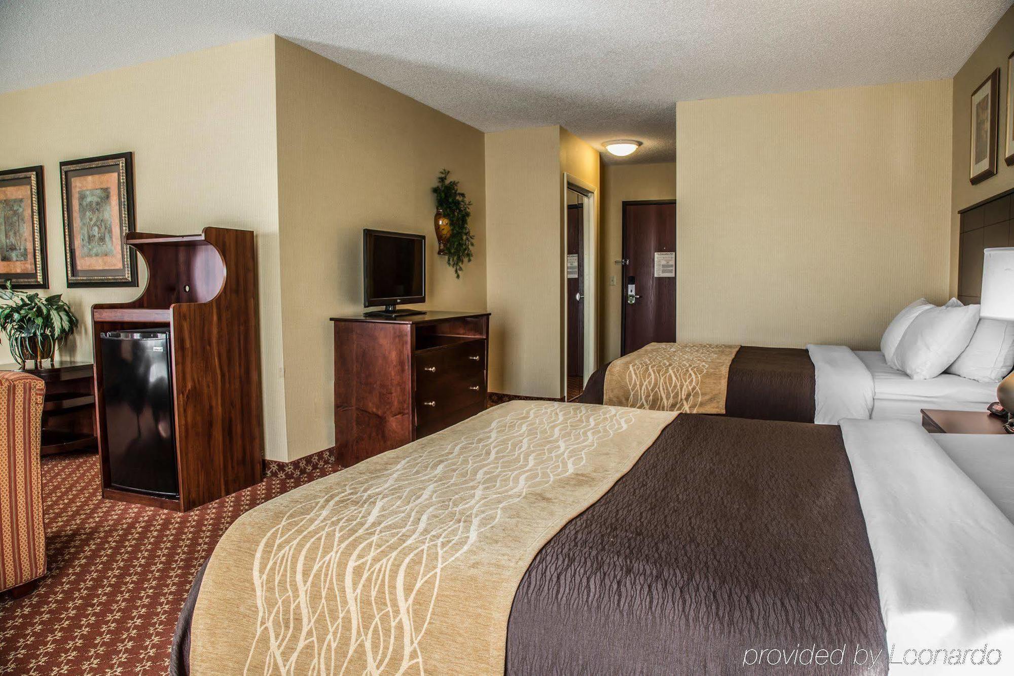 Comfort Naugatuck-shelton, Ct Naugatuck