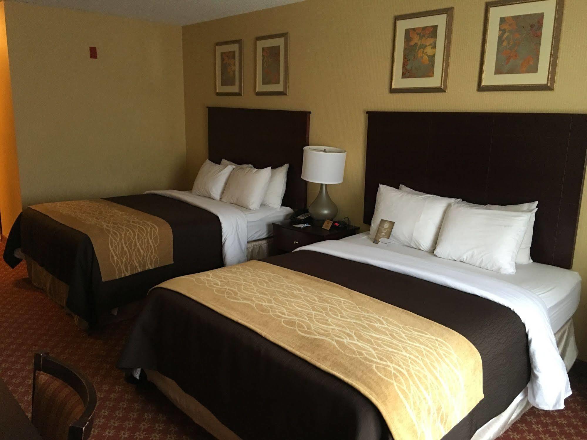 Inn Comfort Naugatuck-shelton, Ct 3*